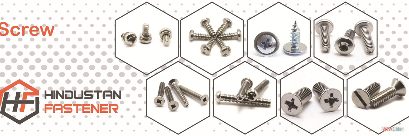 Micro Screw Manufacturer - Hindustan Fastener